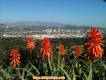 Griffith Park