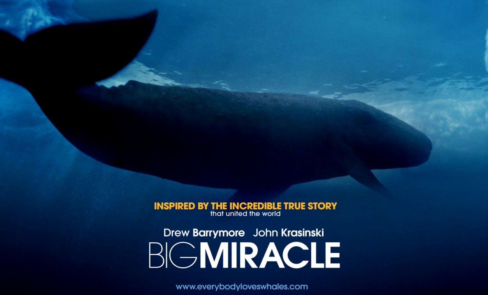 Big Miracle Big Miracle
