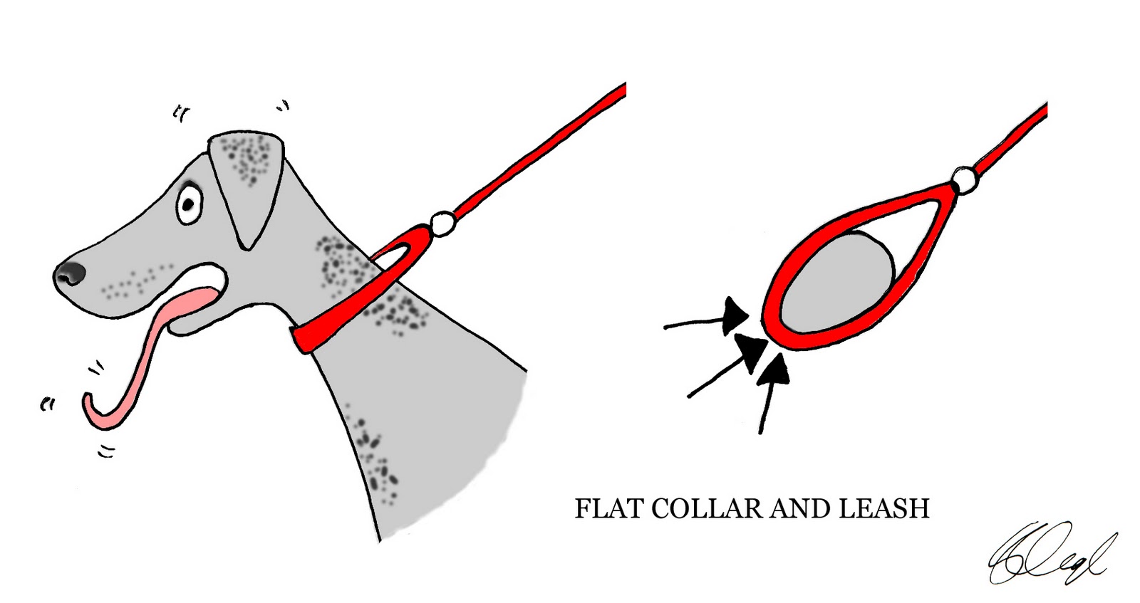 Are Head Collars Bad For Dogs