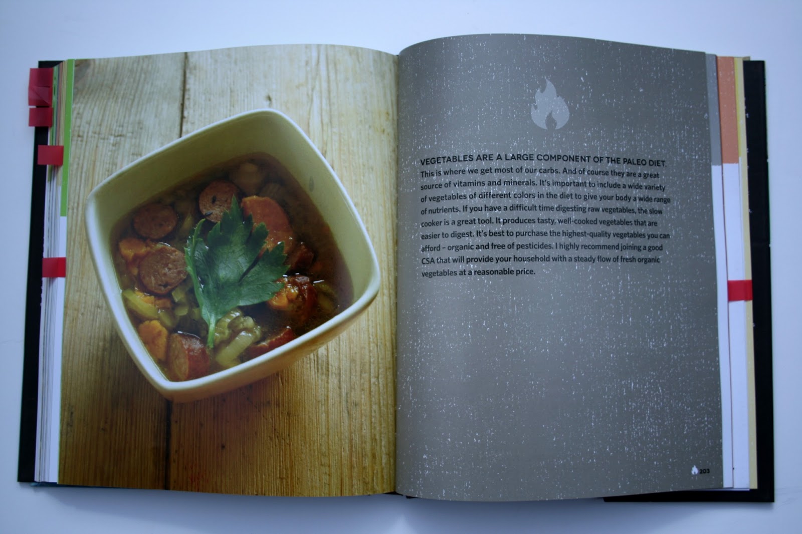 The most beautiful slow cooker book everand it's Paleofriendly