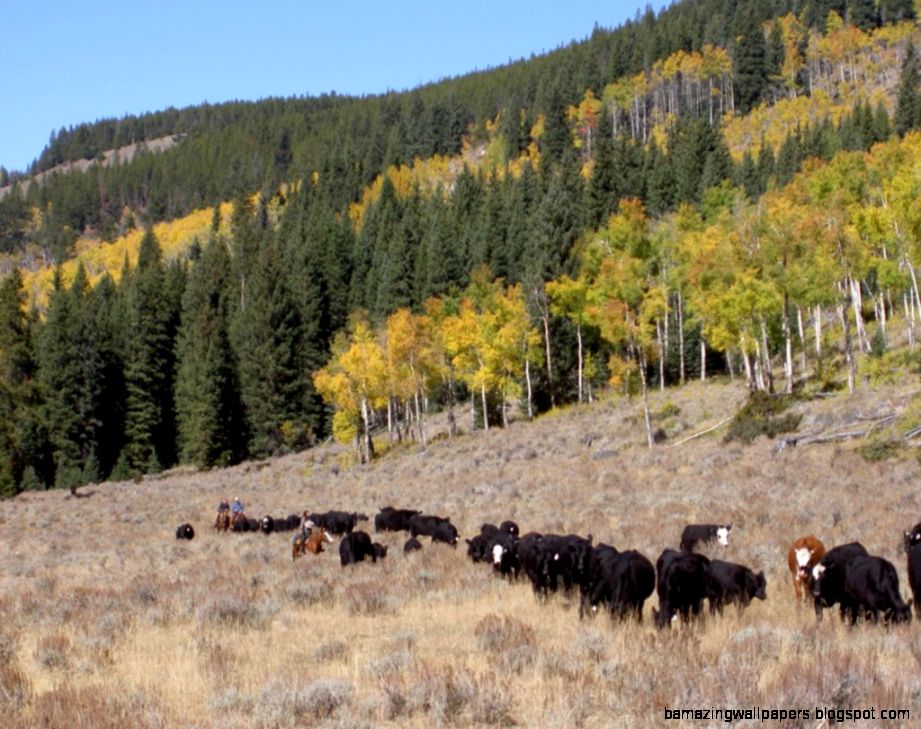 The Hideout Lodge Guest Ranch Wyoming Dude Ranches Dude The Hideout Lodge Guest Ranch Wyoming Dude Ranches Dude