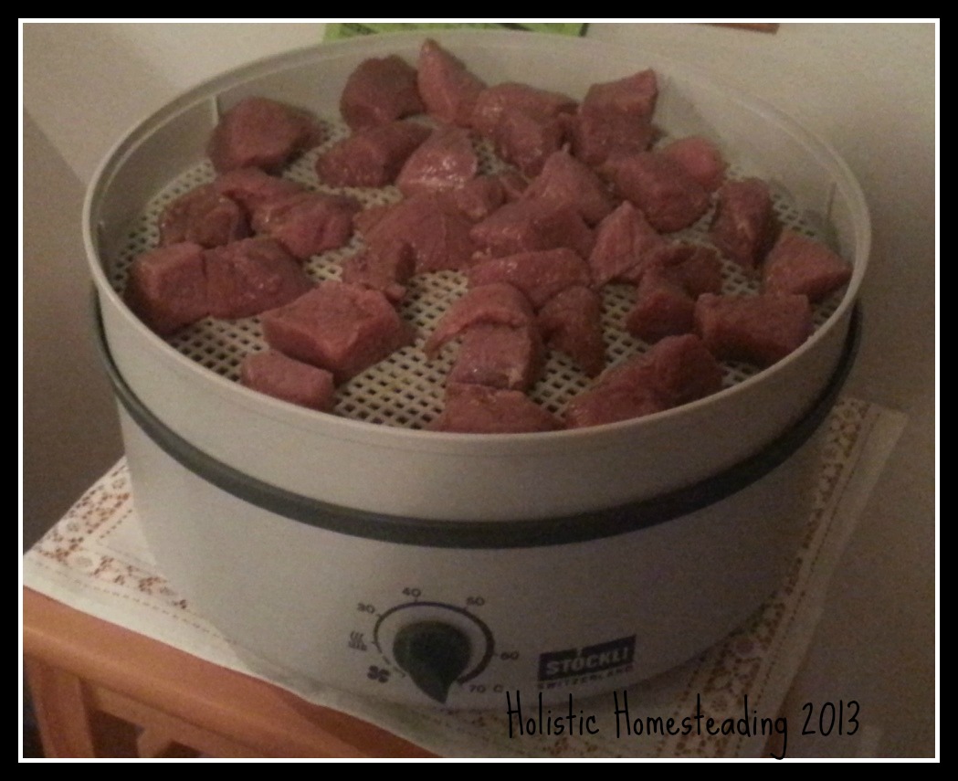 Holistic Homesteading Dehydrator Recipe South African Biltong