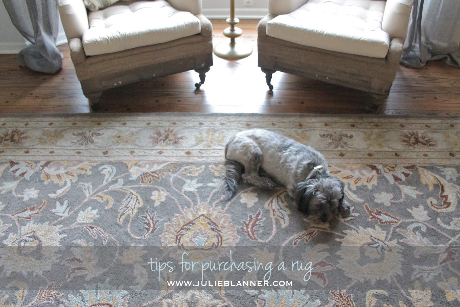 Tips for Purchasing a Rug Julie Blanner