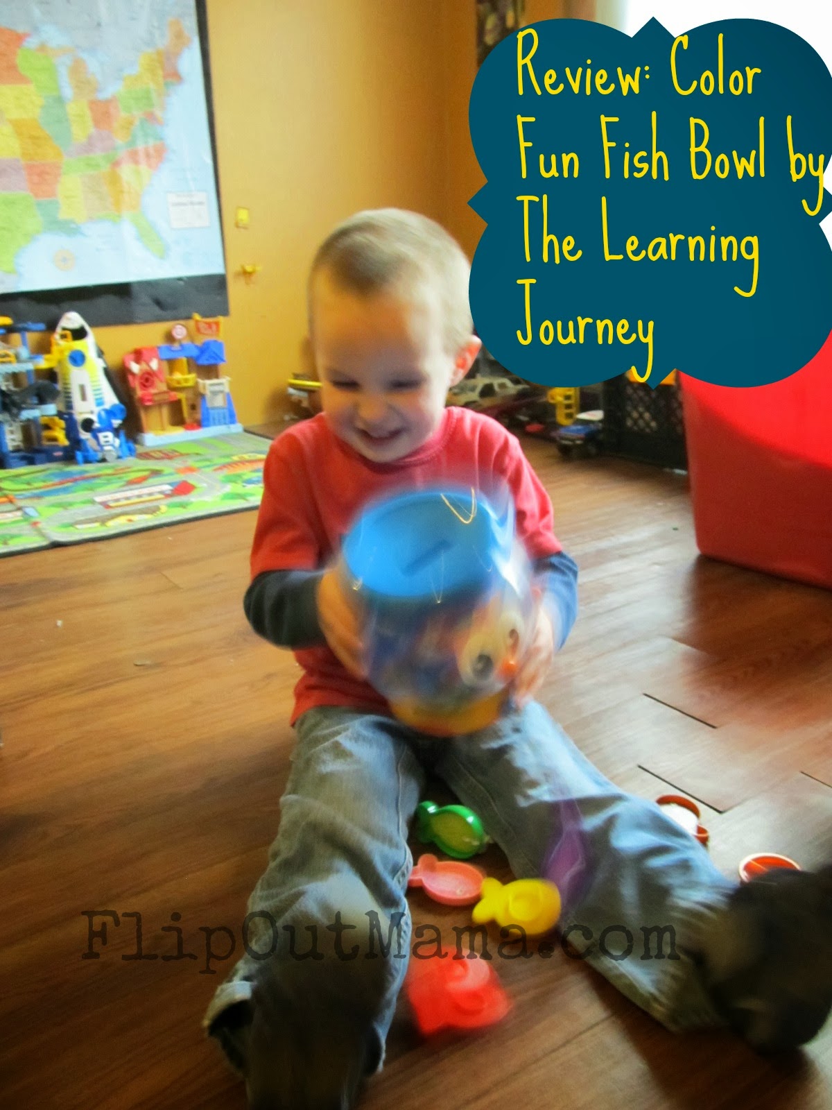 learning journey fish bowl