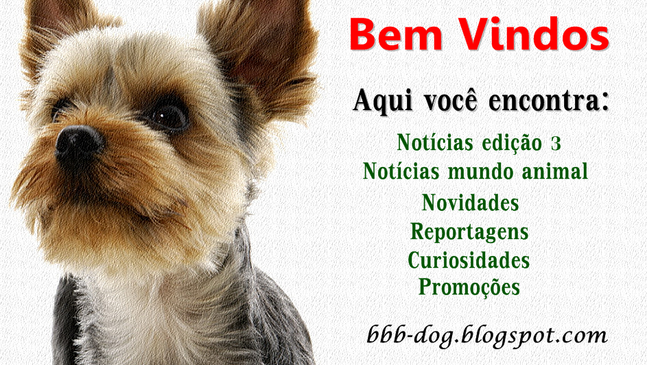 BBB DOG ®  2012