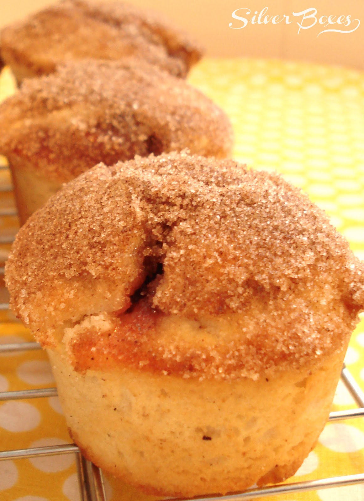 Silver Boxes JamFilled Cinnamon Doughnut Muffins