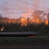 Londrina: incêndio ambiental atinge terreno às margens da BR-369