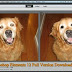 Photoshop Elements 12 Full Version Download and  will fix the Red Eye of your dog
