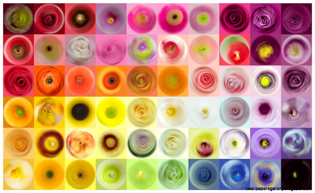 Fl Swirls fqwimages Fl Swirls fqwimages
