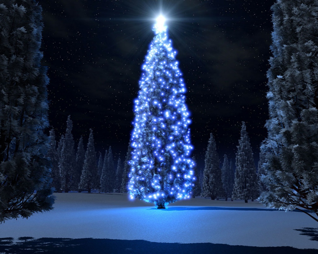 EU TENHO DEUS E DEUS ME TEM.: Sobre a Árvore de Natal