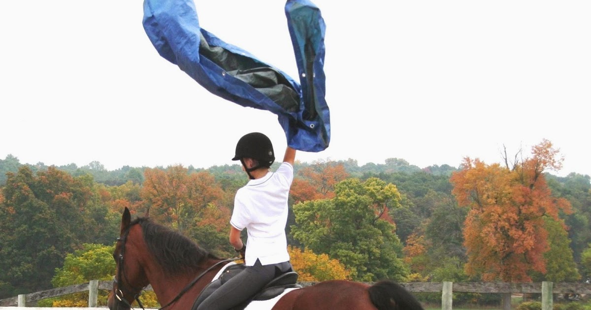 ALPHA Equestrian BOMBPROOFING What is it Really All About?