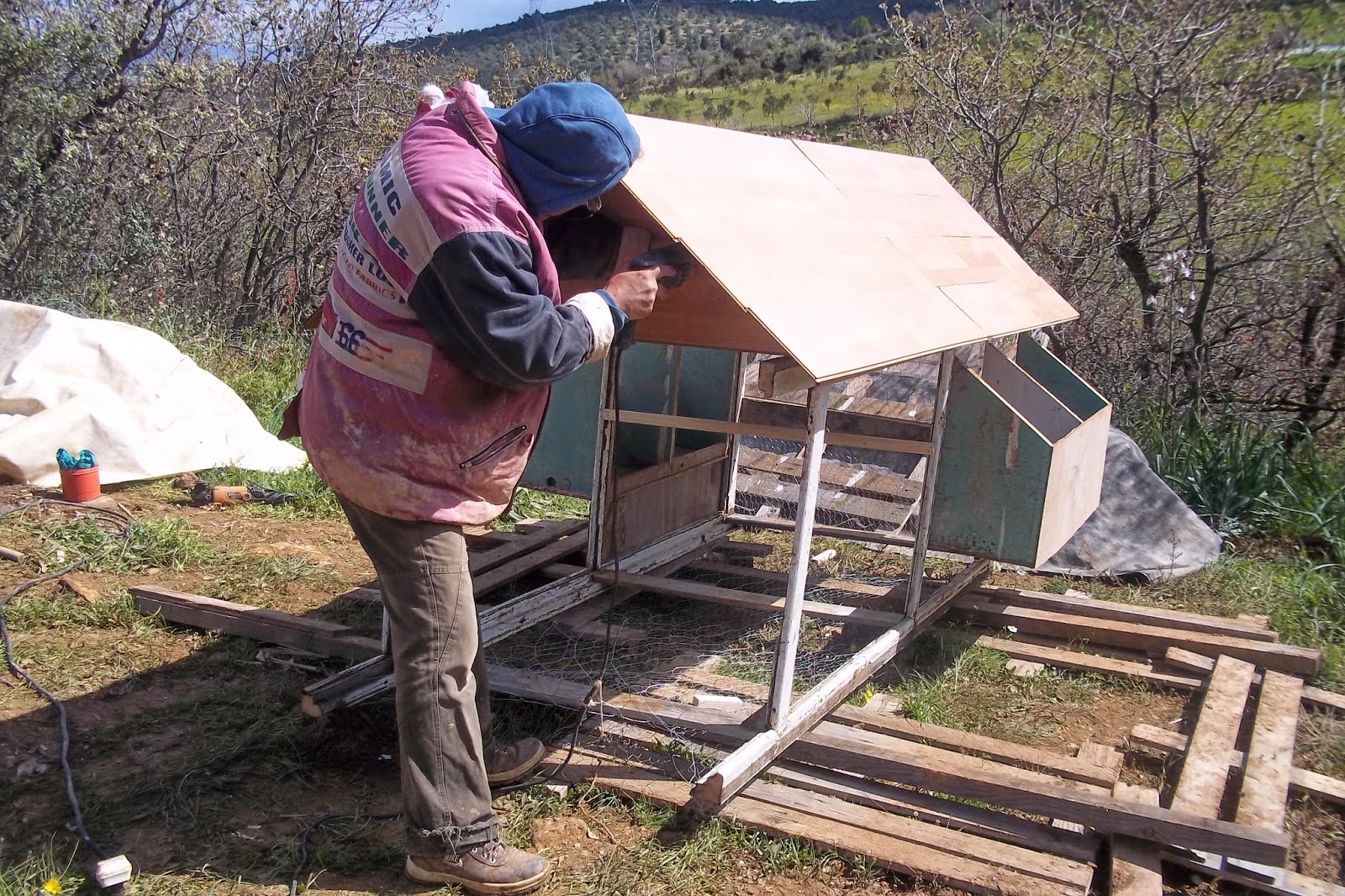Cin Ali Çiftliği Çiftlikte Kümes Yapımı