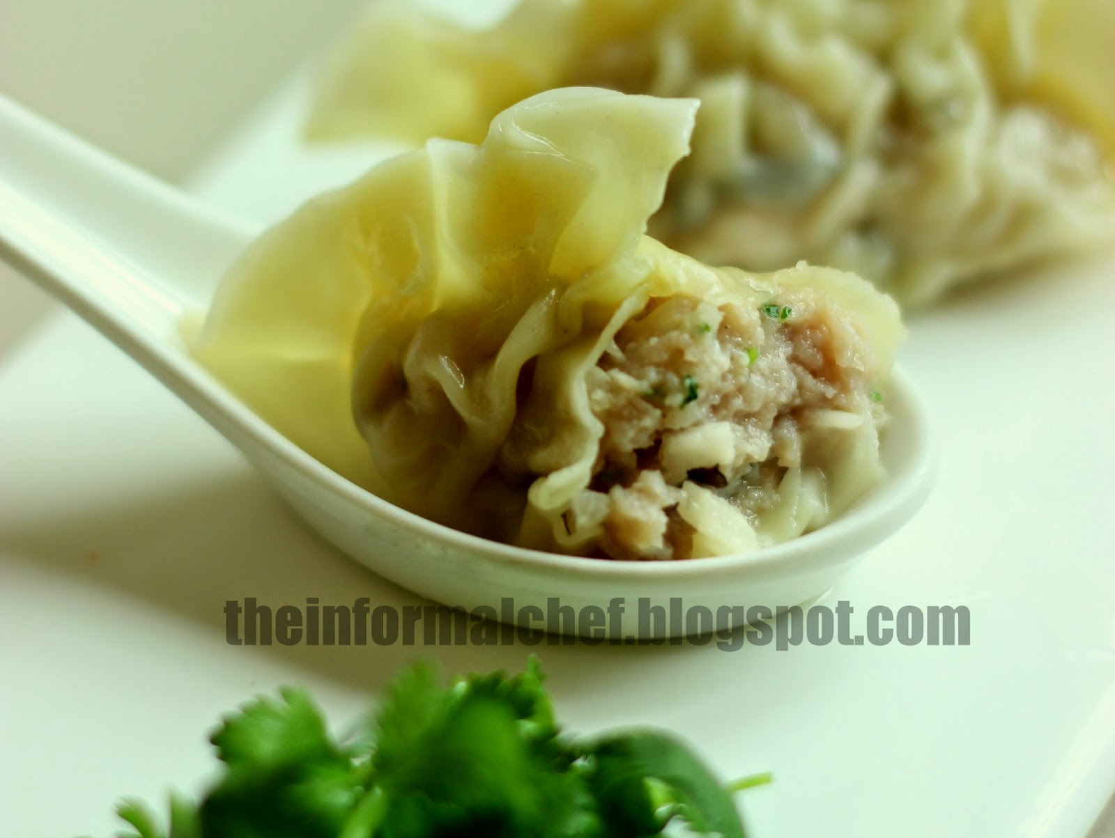 The Informal Chef Chinese Dumpling Soup (Sui Kow) 水餃
