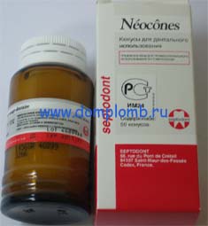  Neocones img-1