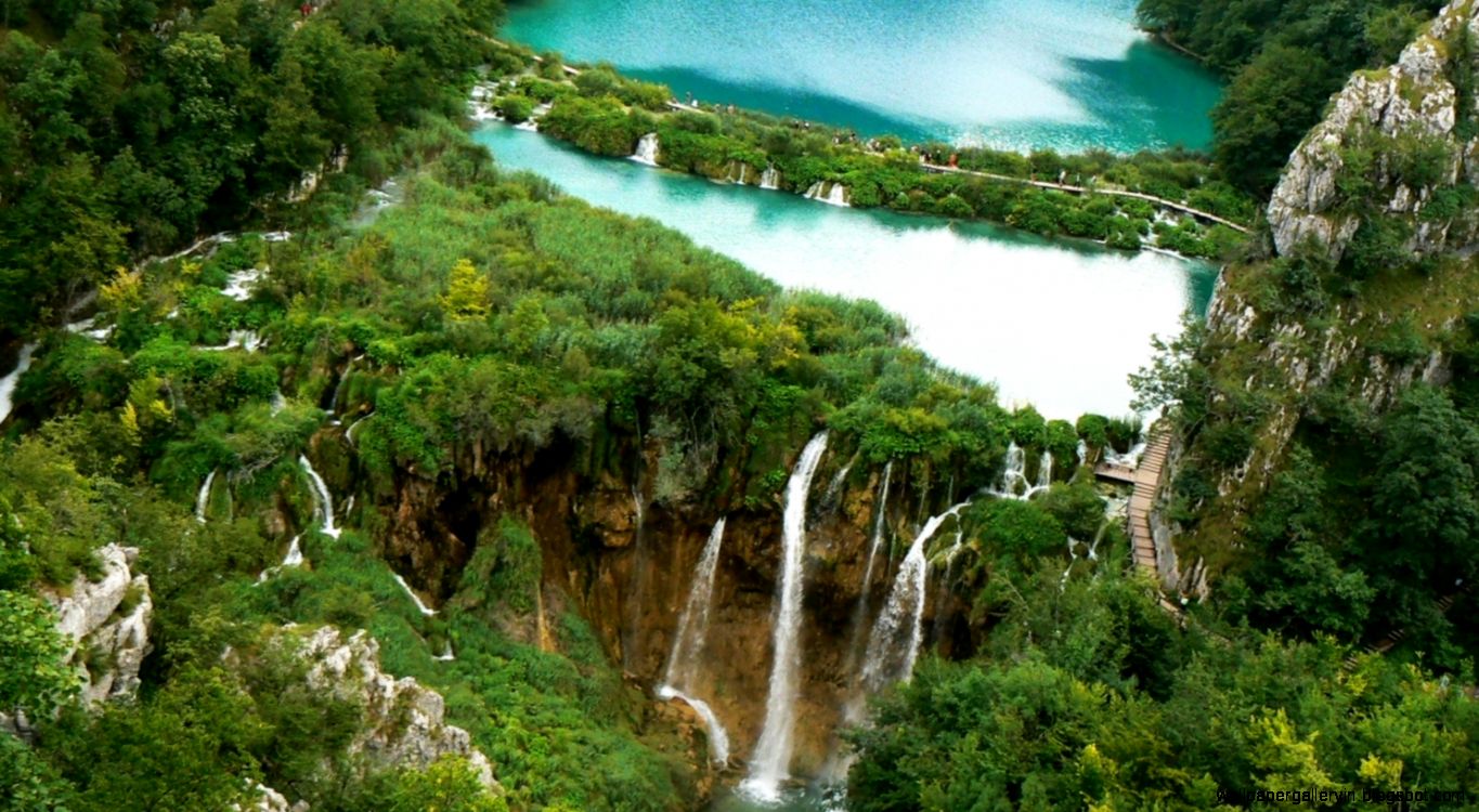 hd wallpaper vector unique nature beautiful natural scene