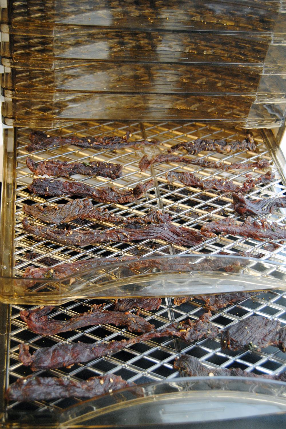 You might want to consider storing the jerky in Weston Zipper Vacuum