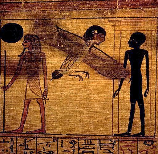 ancient egypt and mesopotamia comparison essay Comparison between mesopotamia and egypt this essay comparison between mesopotamia and egypt and other 63,000+ term papers, college essay examples and free essays are available now on reviewessayscom. ancient egypt and mesopotamia comparison essay Comparison between mesopotamia and egypt this essay comparison between mesopotamia and egypt and other 63,000+ term papers, college essay examples and free essays are available now on reviewessayscom.