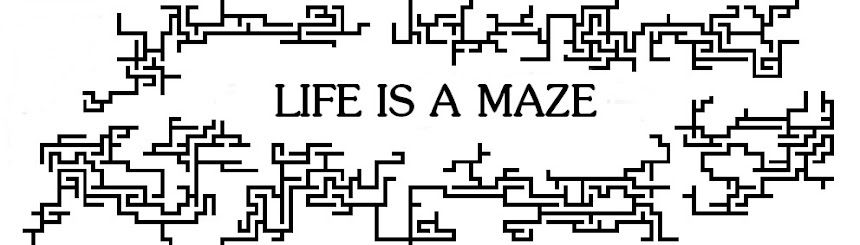 Life is a maze