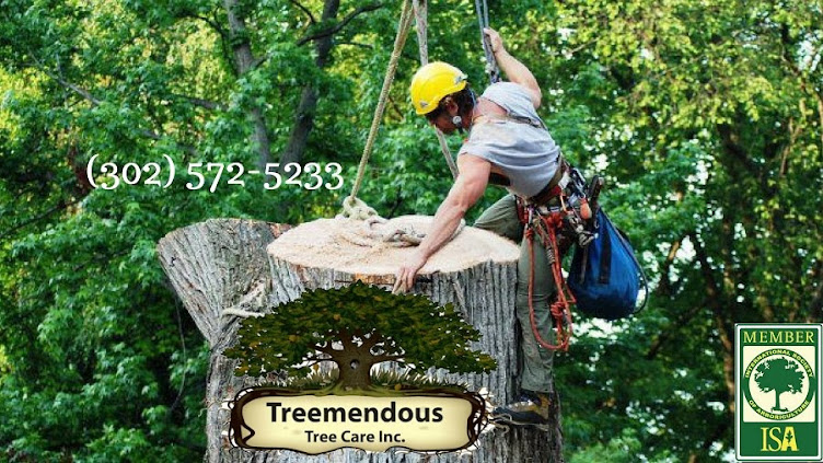 Treemendous Tree Care Inc