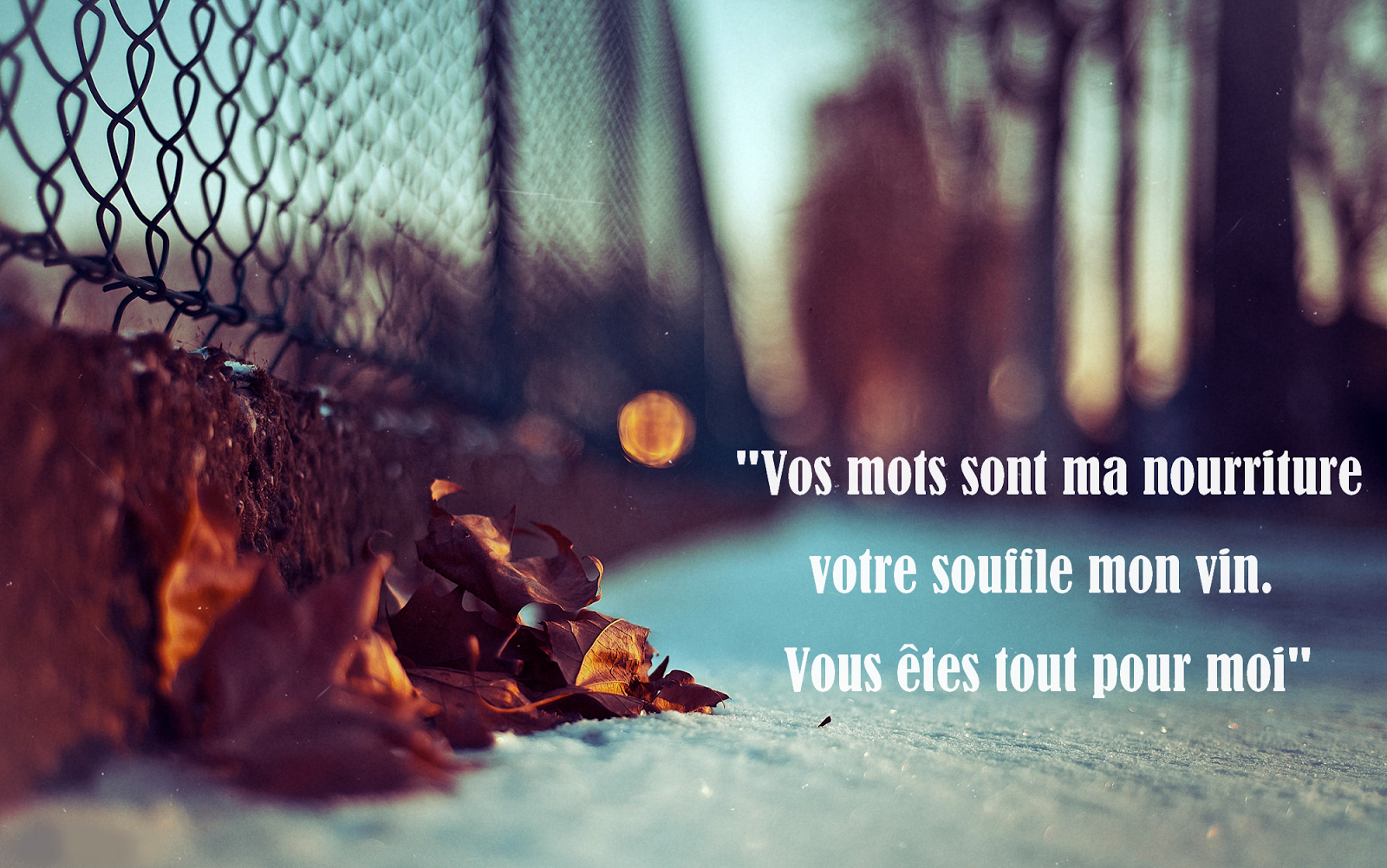 citation d'amour fou vous étes tout pour moi