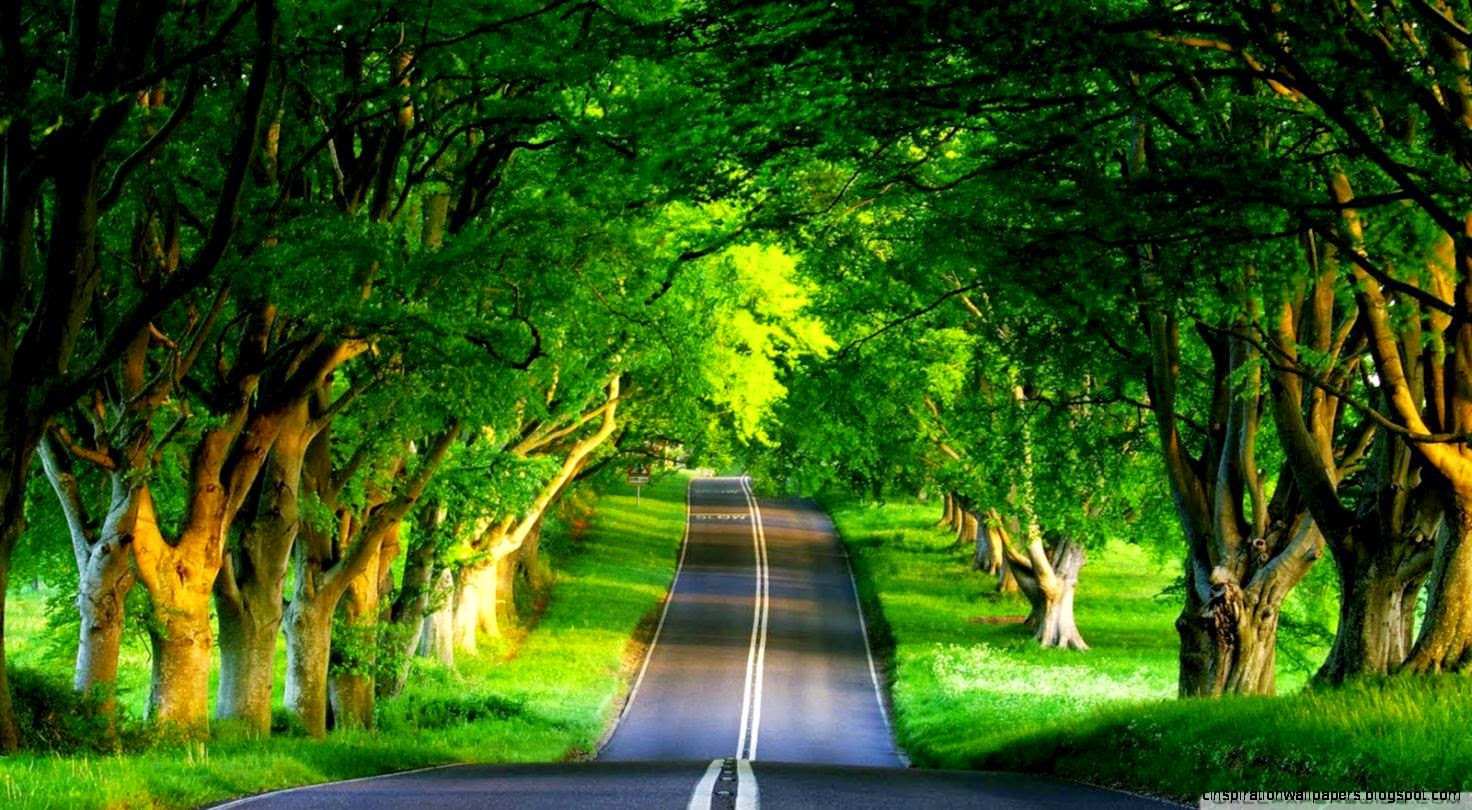 Hd Images Of Nature Hd Background Wallpaper 29 Hd Images Of Nature Hd Background Wallpaper 29