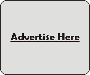 Advertisement (300x250)