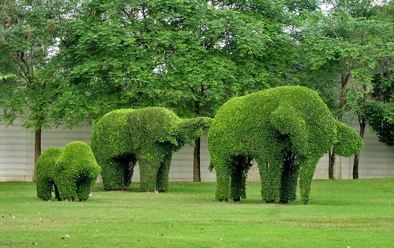 Artsy Traveling Elephant Topiary
