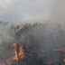 Santa Cruz: Intensifican campaña de prevención de incendios forestales en Guarayos