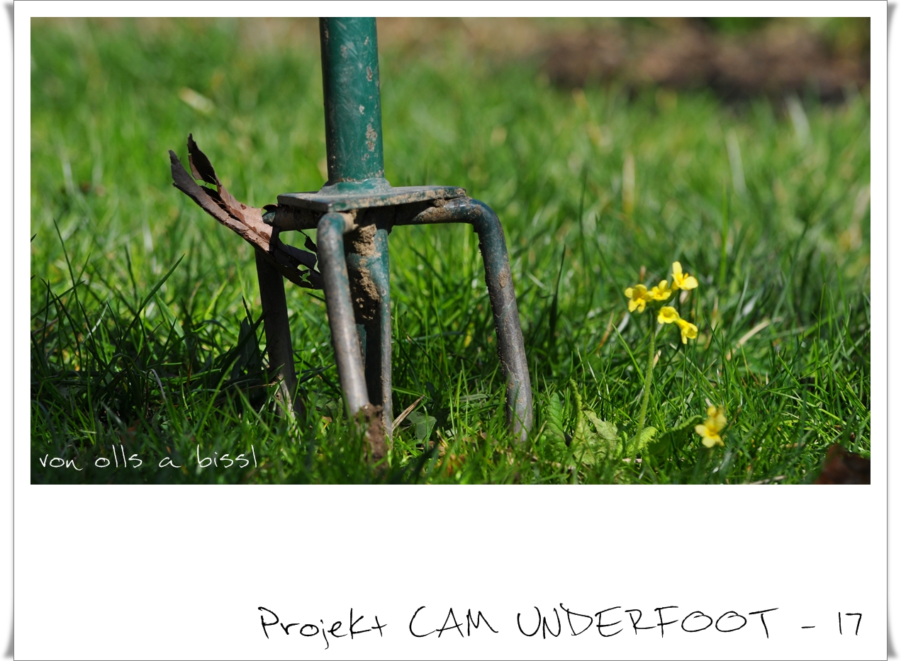 Projekt CAM UNDERFOOT 17