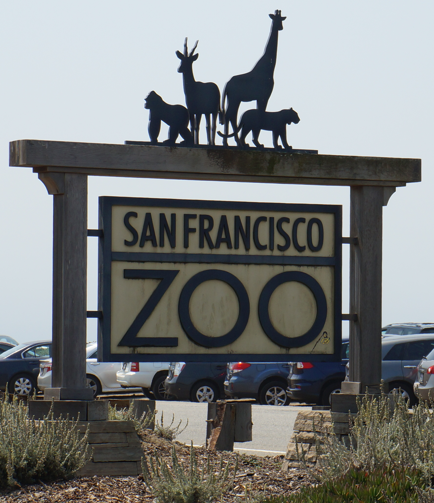 Exploring the San Francisco Zoo