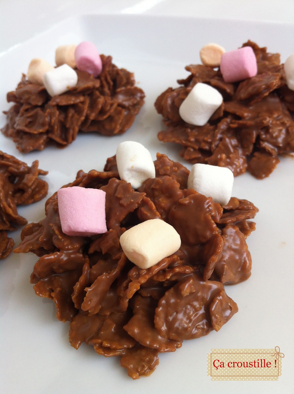 Ça croustille ! ROSES DES SABLES AU CHAMALLOWS
