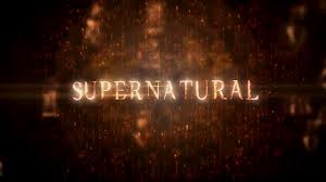 Supernatural 8.17 "Goodbye Stranger" Review: Family Makes Us Stronger