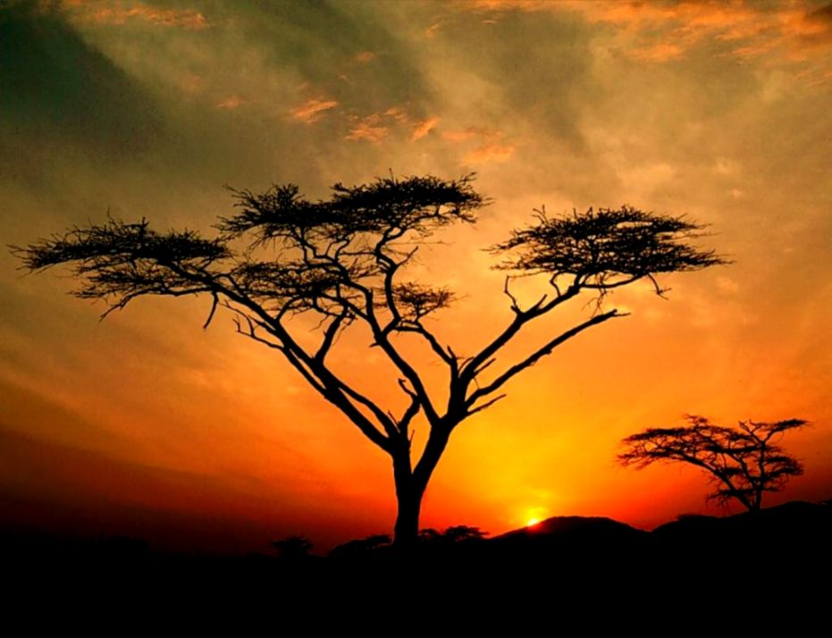 African Sunset Desktop Wallpaper Free 13072 Free HD Wallpapers African Sunset Desktop Wallpaper Free 13072 Free HD Wallpapers
