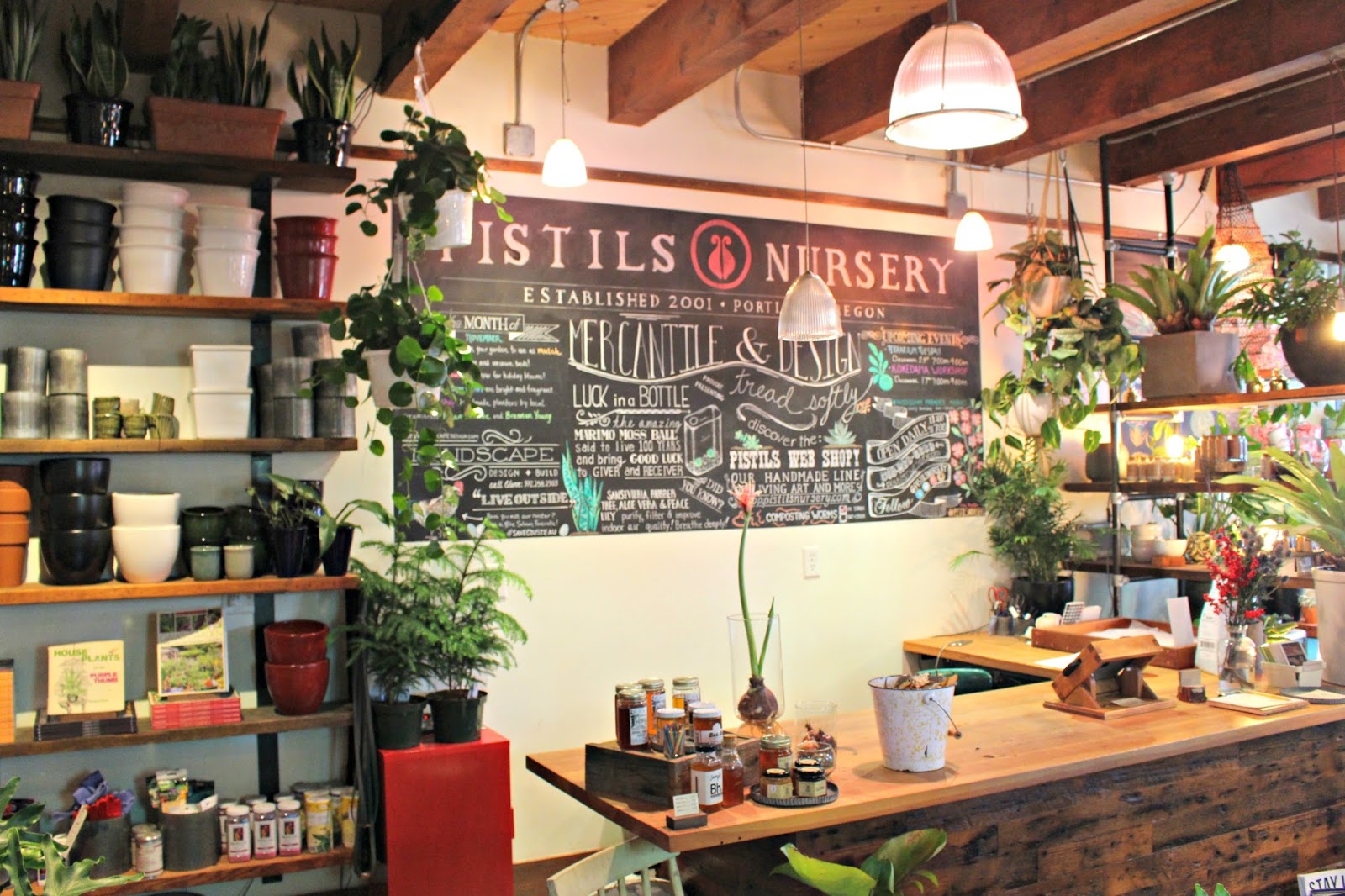 terrariums... ladybird & fellow