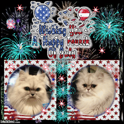 Https Encrypted Tbn0 Gstatic Com Images Q Tbn 3aand9gctpzdxsjxcuq7vmlgd41lkffcxa03jzbrfdkw Usqp Cau