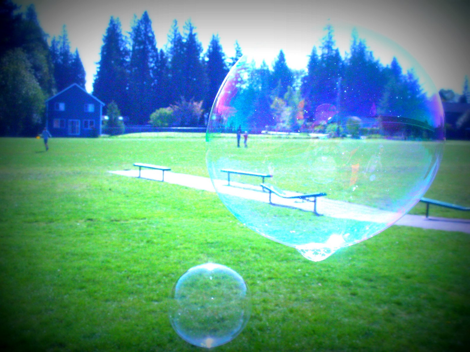 Kindergarten Kids Pop! Blowing Bubbles in Kindergarten