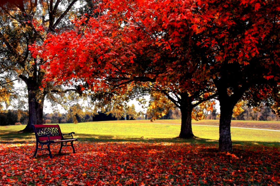 God hd wallpapers full download Archives Funny Pictures Jokes God hd wallpapers full download Archives Funny Pictures Jokes