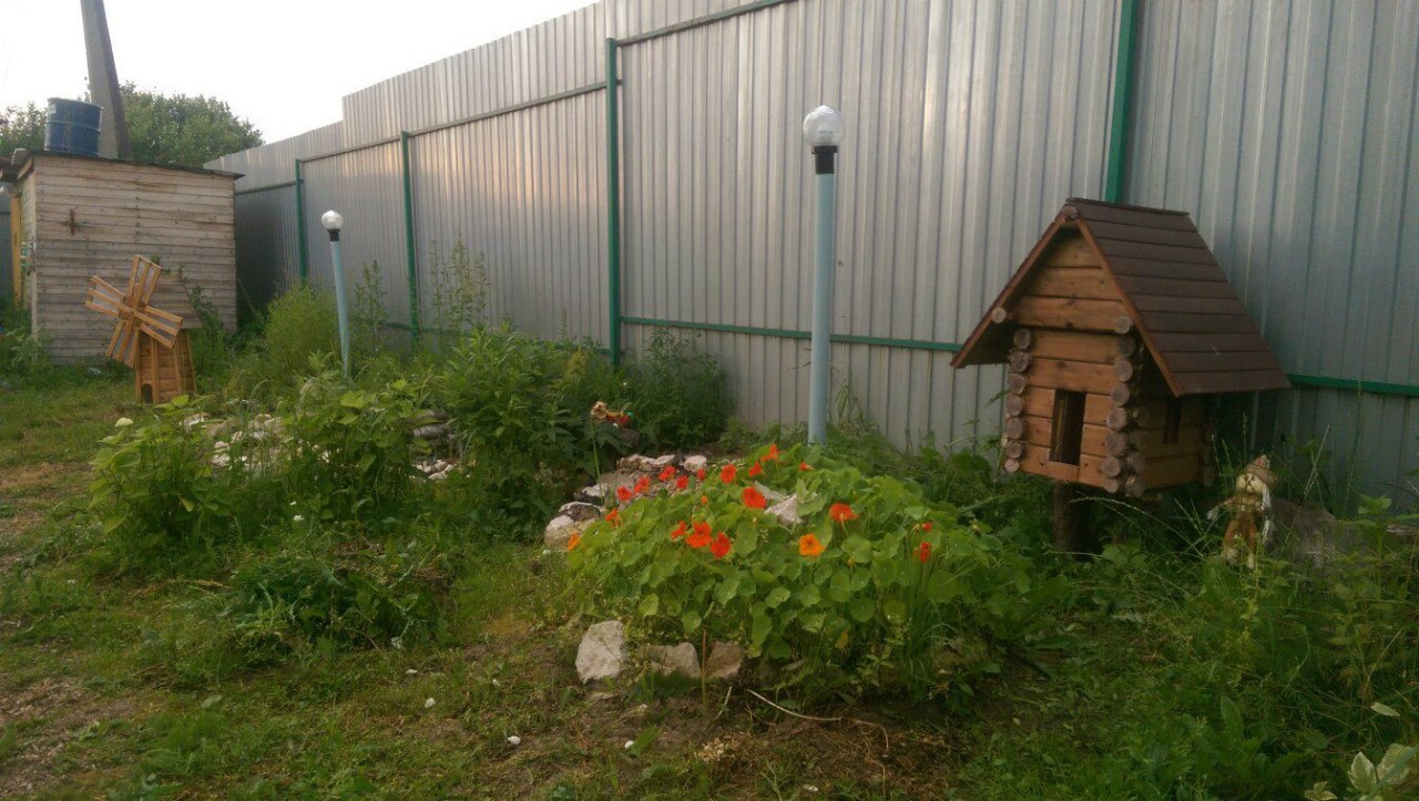 Я Дрочу На Свою Дачу Форум Я Дрочу На Свою Дачу Форум