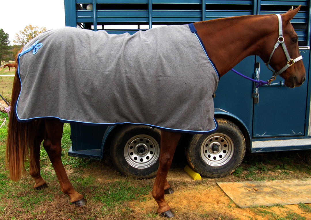november 2012 we are flying solo wool dress sheet