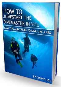 Learn to Dive