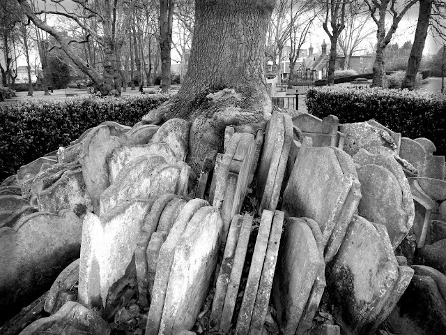 Misteri Pohon dengan Ratusan Batu Nisan Dibawahnya