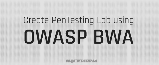 Penetration Testing Lab using OWASP BWA