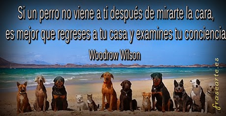 Citas famosas de Wilson