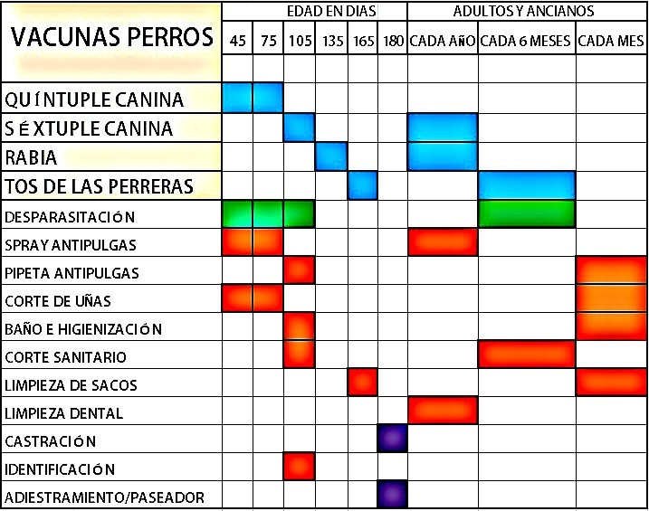 ESQUEMA VACUNACION ANIMAL PARVOVIRUS esquema vacunacion animal parvovirus: