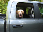 Riding in the big truck