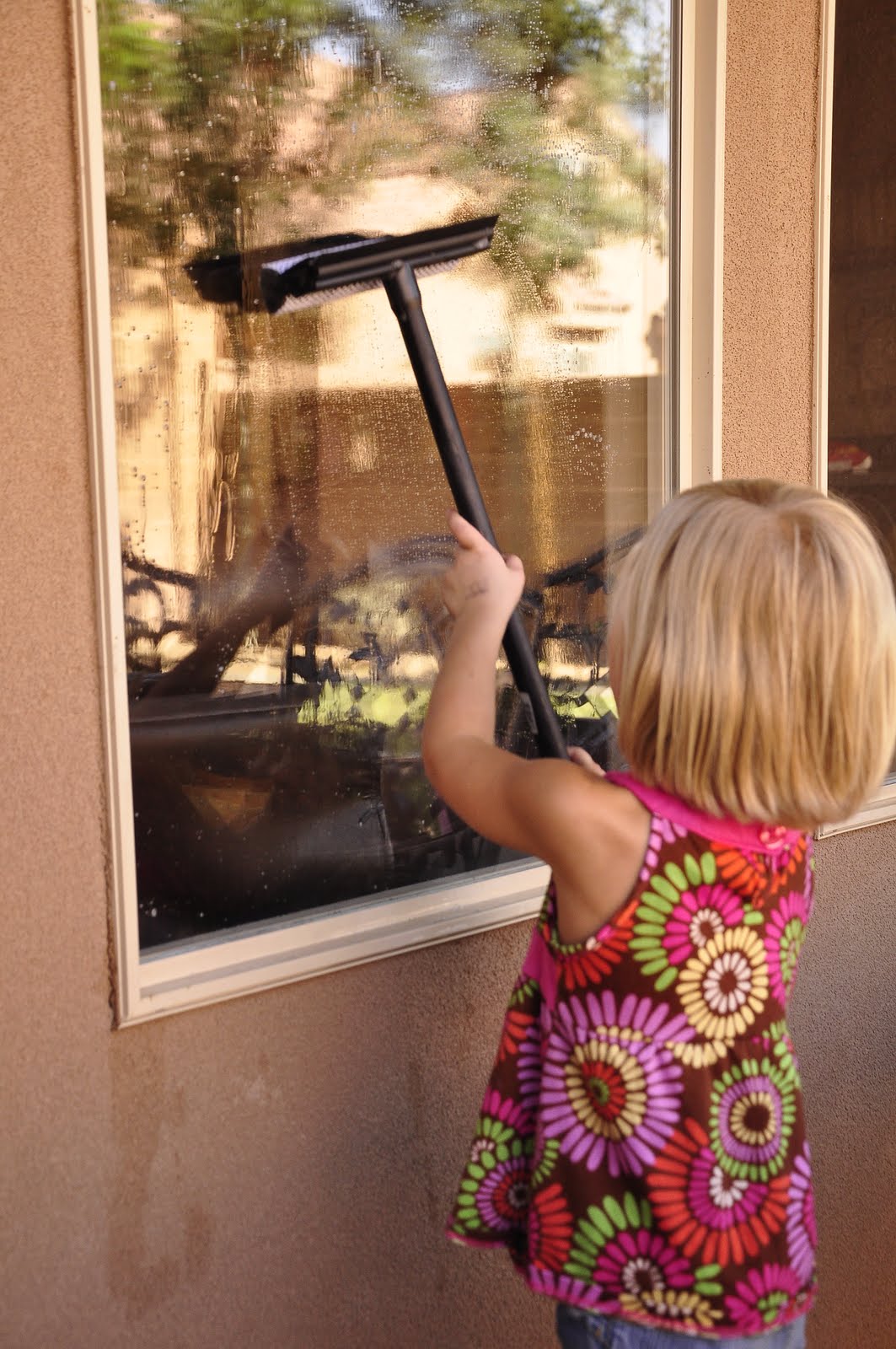 Homemade window cleaning solution
