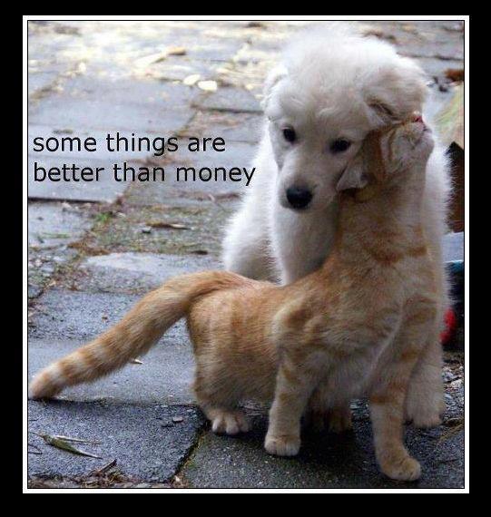 Share Our Garden! Organic DIY Pet Friendly Weed Killers