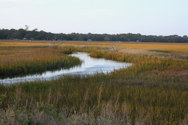Marsh