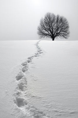 footsteps-in-snow-opt.jpg