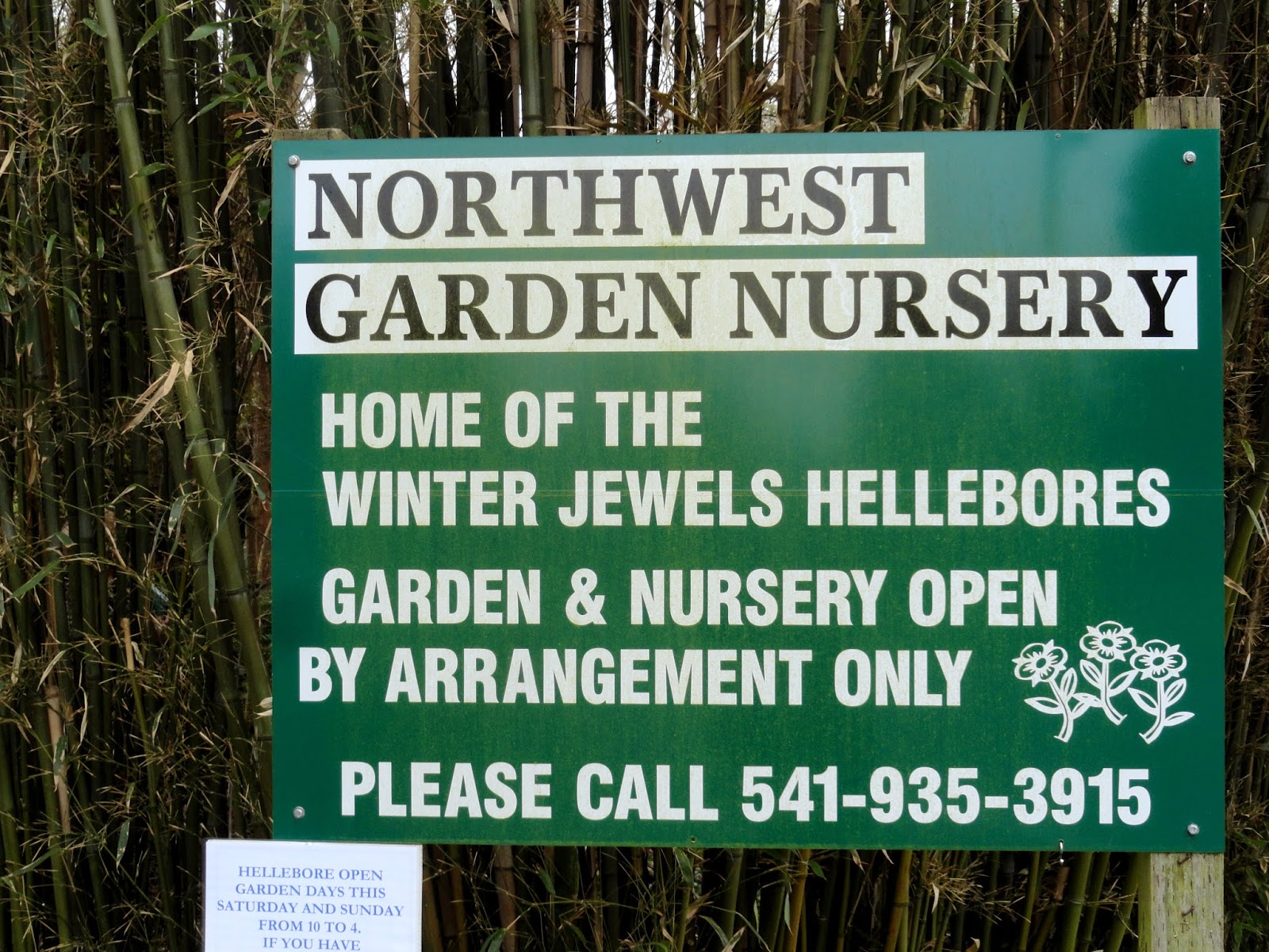 danger garden Visiting the O’Byrnes nursery and garden…